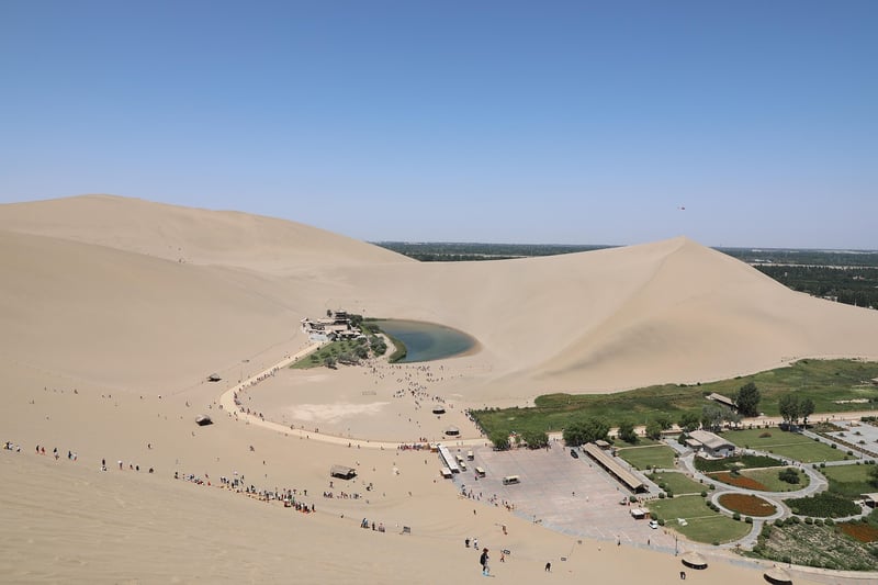 Unicorn Oasis