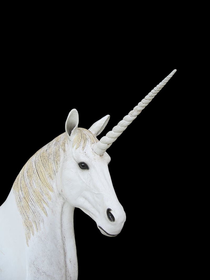 Unicorn Oasis